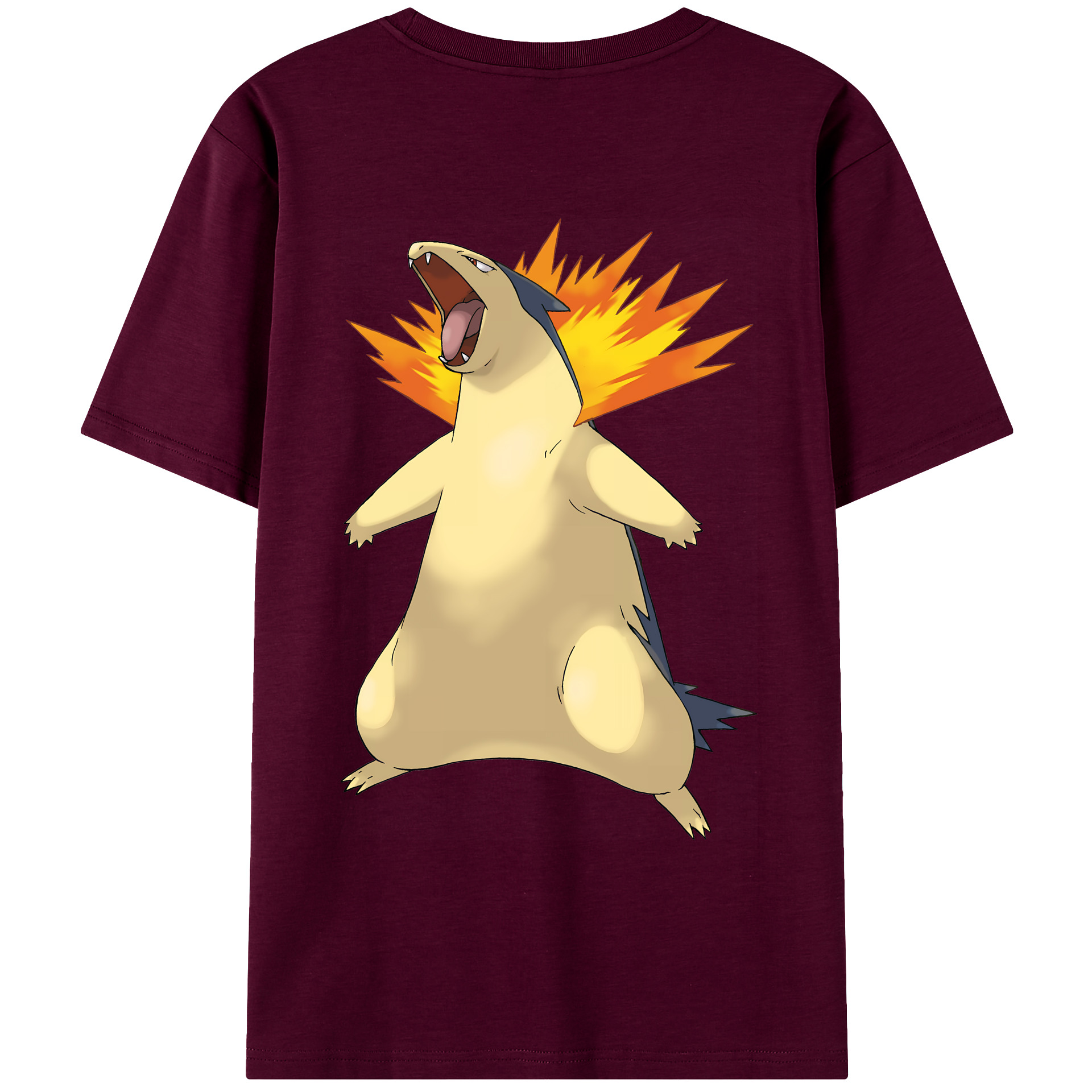 （画像用） ポケットモンスター Pokémon レディース半袖Tシャツ(バックプリント)